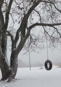 A snow-covered tree and tire swing were featured in the photo that won the nature photo contest for kindergarten students at Corbin Primary School in January 2014.
