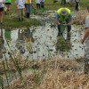 Students tested water quality and looked for critters in the Russell County Middle School wetland before repairing it on June 9, 2014.
