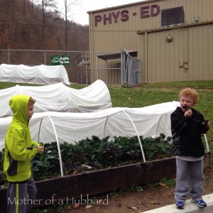 Two Pikeville Elementary School students, Luke and Caden McNamee, sampled vegetables from their winter garden. Photo provided by Cathy Rehmeyer, Mother of a Hubbard blog.